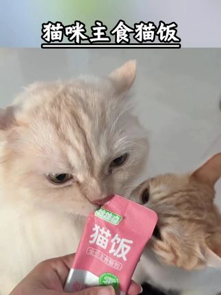 郝邵文推荐拽拽奇猫咪主食猫饭发腮餐包全价补水成幼猫鸡肉兔肉鱼肉配方长肉,猫饭,猫饭主食包,猫饭湿粮,猫饭推荐,猫饭主食增肥 #猫饭 #猫咪零食 #猫罐头 #猫饭推荐 #猫条