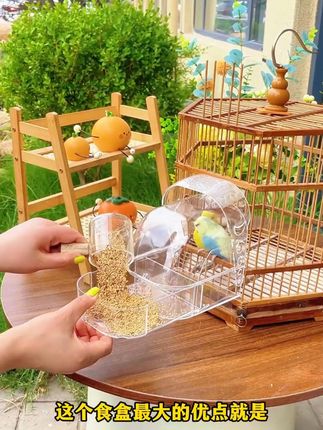 透明材质+环保设计,这款洗澡盆让鹦鹉自由活动不压抑!#宠物用品 #鹦鹉洗澡盆  #宠物养护