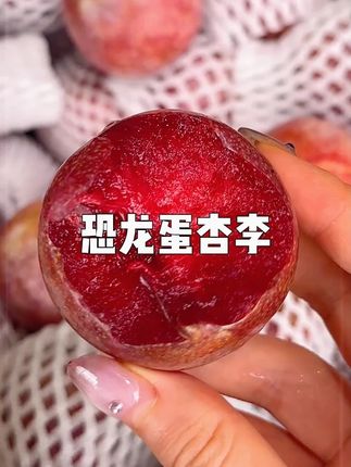 新疆恐龙蛋杏李,个个精品,吃起又香又甜又多汁,爱吃李子的放心拍,顺丰包邮送到家!#优质农产品 #新疆恐龙蛋 #恐龙蛋杏李 #杏李 #快来一起尝个鲜