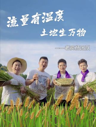充小妹星推荐 | 老疯杨团队:流量有温度 土地生万物 #老疯杨 #充小妹星推荐 #西充