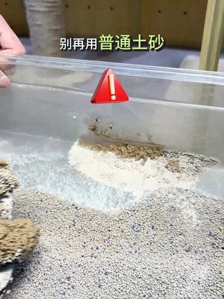 破价 两件八折 #猫砂#猫#猫咪的迷惑行为#矿砂#萌宠