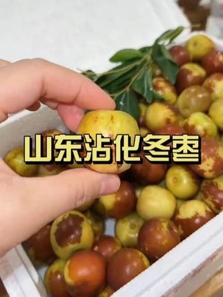 又到了吃冬枣的季节,一年只有一季的冬枣终于到了,口感又脆又甜又多汁,皮超级薄,核小个大 ,肉嫩无渣,枣香浓郁真的超好吃!#新鲜应季水果 #口感特别好 #优质农产品 #现摘现发新鲜到家