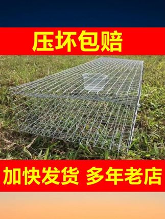 新款加厚双门笼铁丝笼养蛇笼子保护蛇箱长虫笼户外笼中笼防锈手工 #双门铁丝笼 #养蛇保护箱 #长虫笼 #笼中笼设计 #防锈手工笼