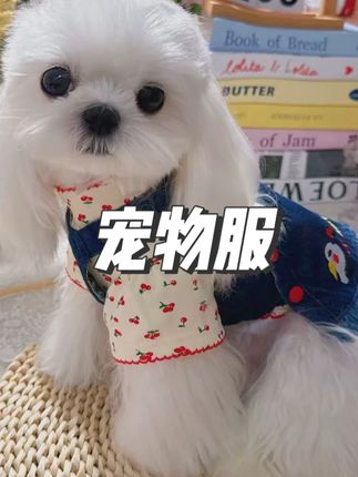 SUKIMOMO秋冬新款宠物服樱桃牛仔背带裙打底衫 #打底衫 #打底衫推荐 #牛仔背带裙 #宠物服 #宠物服饰推荐
