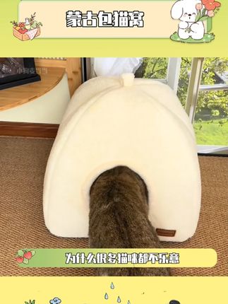 有了它 不管天气多冷 猫猫也有自己的小小避风港了#猫窝 #天冷必备 #萌宠好物 #猫咪钻洞