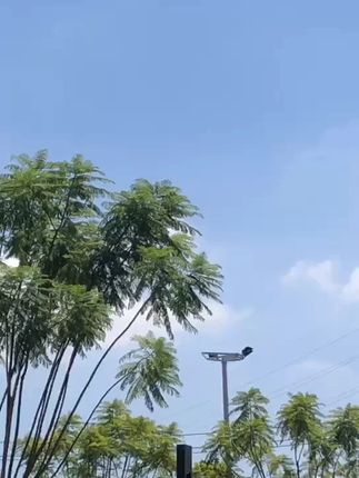 #风景 #风景优美空气清新