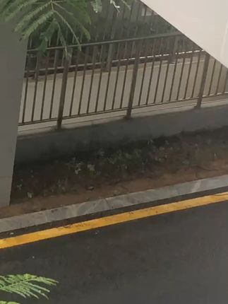 #风景画 #风景