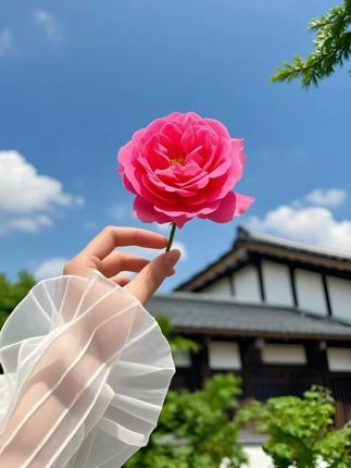 伯乐之交在这一刻具象化了。#张国荣 #明星 #发财 #黎明