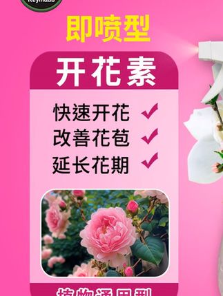 都8月了 #三角梅 还不开花你就这样做 #三角梅养护 #三角梅不开花怎么办 #养花小知识 #种植小技巧 #都8月了 #还不开花你就这样做