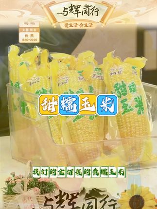 金佰程东北甜糯玉米真空代餐加热即食好吃260克大棒10只 #甜糯玉米 #东北玉米 #糯玉米 #代餐 #黄糯玉米