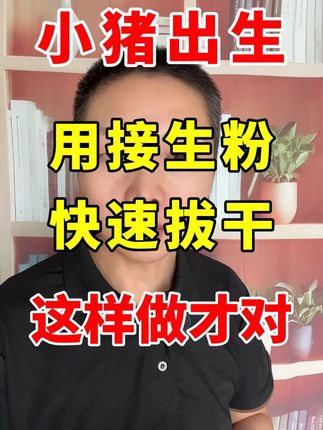 小猪刚出生,要这样做 #农村养猪 #所有养猪人 #养猪技术 #自繁自养 #科学养猪