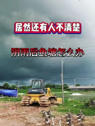 阴雨后鱼塘要遭殃,这样就不怕了 #水产养殖 #四大家鱼养殖 #增氧颗粒 #雄牧粒粒氧