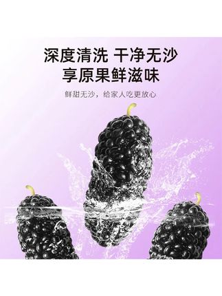 甄选头茬桑葚干桑椹干果即食黑桑葚子#桑葚干 #好货推荐 #滋补养生 #泡水 #好喝不贵
