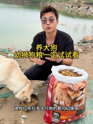 真正能让狗狗爱不释口的狗粮就是这款幼狮牛肉成犬粮#狗粮推荐