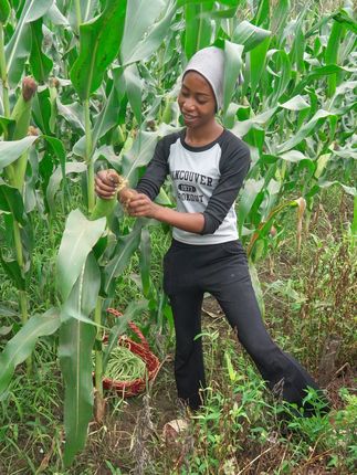 农村媳妇菲利丝