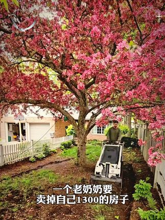 读《寒门诡将》学古人智慧,让你在为人处事中立于不败之地#寒门诡将 #千门八将 #好书分享 #认知觉醒 #谋略智慧