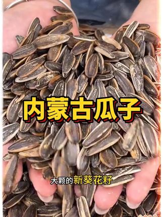 内蒙古原味大颗粒瓜子9.9到手2斤!#农产品 #土特产干货 #炒货 #瓜子 #无限回购的宝藏单品