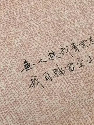 十几块的钢笔有多好用,随手一写就可以出锋。#手写 #练字 #写字