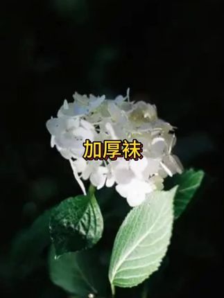 有它再也不用担心脚臭了!!#绣衣宣 #抖音美好丰收节  #男士神仙单品  #在抖音入手的好东西  #无限回购的宝藏单品
