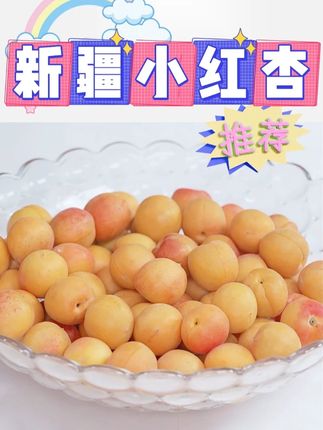 新疆小红杏 #小红杏 #水果 #杏香浓郁 #阿克苏杏子 #快来一起尝个鲜