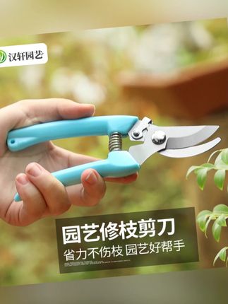 汉轩园林园艺剪刀树枝粗枝摘果剪果树家用多功能修枝剪花艺剪工具#园艺工具 #家用剪刀 #修枝剪 #园艺好物 #汉轩园艺剪