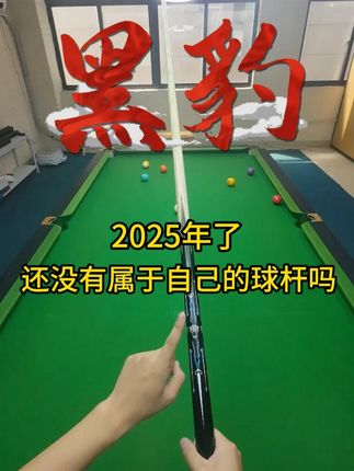 2025年了还没有属于自己的球杆吗? #台球 #台球是一种生活