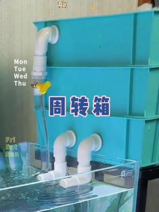 小鱼缸也有周转箱过滤了,一个才9块,一套也才27块,比自己买材料做还便宜,有了号称过滤届的扛把子周转箱过滤,那离空气缸就不远了#周转箱过滤 #小鱼缸过滤器 #鱼缸过滤器 #滴流盒过滤 #鱼缸