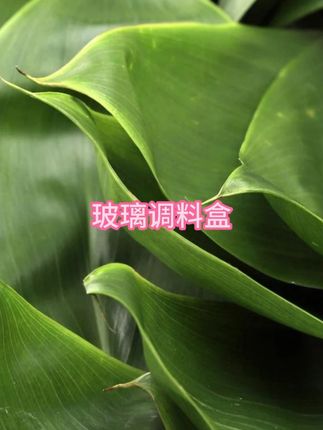 #好物推荐🔥 #厨房好物 #实用好物 #居家好物 #调料盒 #好物推荐🔥 #厨房好物 #实用好物 #居家好物 #调料盒