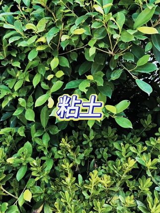 得力儿童超轻粘土 #环保无毒 #手工玩具 #24色36色