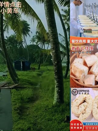 【现做现发】湖北特产老面火烧馍农家老面饼外酥里软老面饼大饼炕