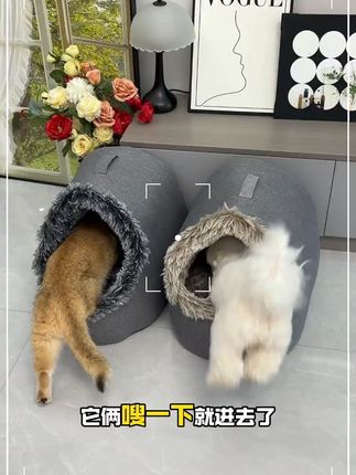 天气一降温,狗狗就喜欢钻进这种洞穴式窝窝睡觉,睡在里面安全满满 #狗窝 #新手养狗 #养狗经验分享 #萌宠好物 #猫窝