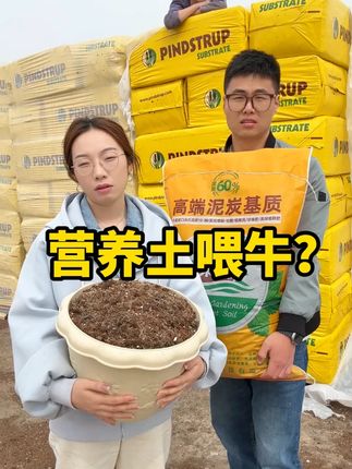 #营养土 #泥炭土 #营养土推荐 #养花专用土 #营养土种菜