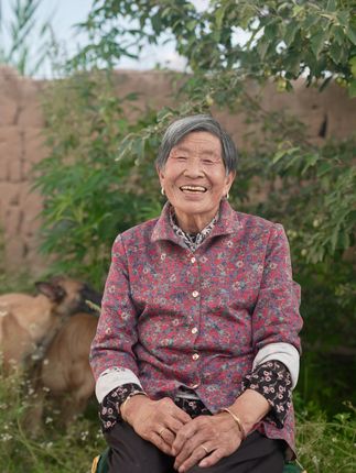 小白的奇幻旅行