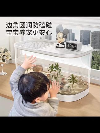寄居蟹饲养箱小型豪华别墅寄居蟹相守蟹专用生态缸爬台养乌龟套装 #桌面宠物 #观察日记 #儿童礼物 #寄居蟹 #生态缸