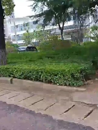 可爱卡通企鹅置物架壁挂式牙刷架宿舍卫生间免打孔多功能收纳盒#收纳盒#可爱收纳盒#置物架#壁挂式置物架#多功能置物架