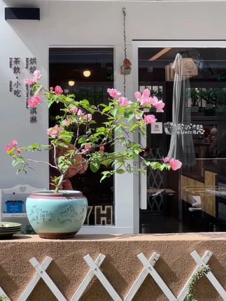 非常适合摄影小白的千元小长焦相机!! #komery相机#新手入门相机#拍照#千元相机推荐#摄影小白