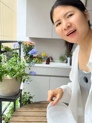 圆形托盘透明塑料树脂接水盘加厚大号陶瓷花盆底座蓄水盘花盆底托 #花盆托盘 #花盆底托 #圆形托盘 #托盘 #透明托盘