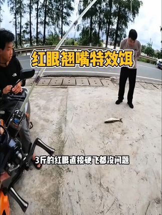 一款针对红眼翘嘴的特效饵 #爱生活爱钓鱼 #钓鱼🎣 #钓鱼 #路亚