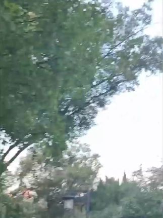 儿童萌鸡蓝牙充电多功能麦克风礼盒早教变声话筒音乐实验唱歌玩具#玩具#唱歌玩具#早教玩具#音乐玩具#麦克风