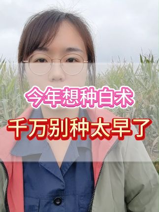 今年想种白术,千万别种太早了 #白术 #白术种植 #中药材种植 #中药材种植技术 #中药材