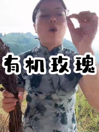 有机玫瑰30g|晨摘鲜花健康饮品女士下午茶 #好物分享 #有机玫瑰 #好喝不贵 #热点宝