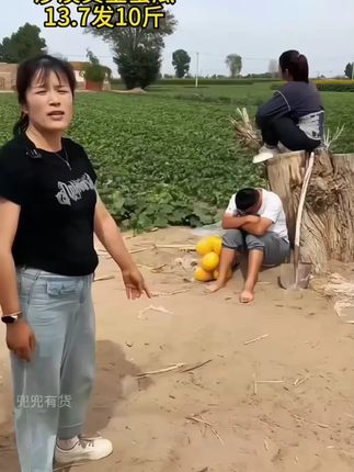 沙漠黄河蜜瓜大丰收了,便宜发一箱!13.7到手10斤#沙漠蜜瓜 #黄河蜜瓜 #民勤蜜瓜 #甘肃蜜瓜