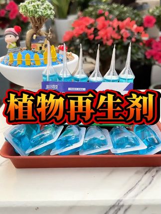 通用型植物再生剂它就是植物复活神器,促进黄叶变绿叶叶子绿油油,绿植花卉都可以试一试!