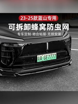 魏牌智驾版蓝山25款专用4代蜂窝防虫网前中网防蚊虫尘罩外饰改装#魏牌蓝山蜂窝防虫网 #汽车 #汽车用品