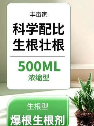 金弹子 在这个金弹子生长的旺季,如果还没有来新芽,长新根,这个一定要抓紧去用起来 ##金弹子# 盆景 #种植小技巧# 生根 #三农 #在这个金弹子生长的旺季如