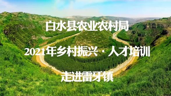 白水县“乡村振兴—人才培训”走进雷牙镇