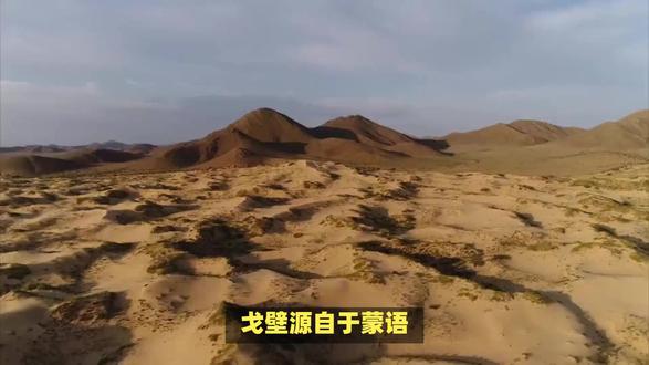 戈壁和沙漠有什么区别-抖音