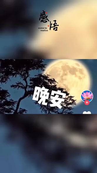人生感悟 #深夜语录 #惜我者我惜之嫌我者我弃之 - 抖音
