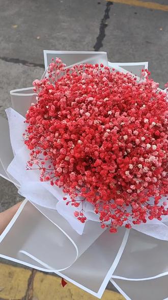 热情浪漫红色满天星你喜欢吗