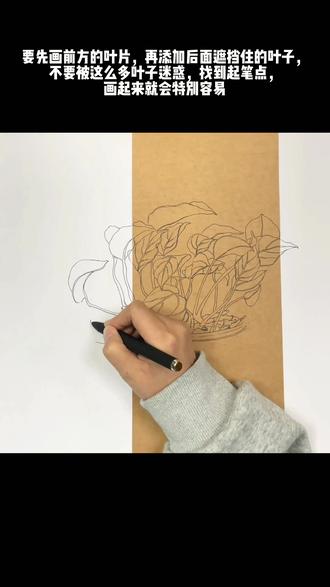 #热门话题 #绿萝 #写生 #速写 #临汾少儿美术 学会观察,让写生变得轻而易举!